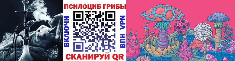 Псилоцибиновые грибы Psilocybe Новохопёрск