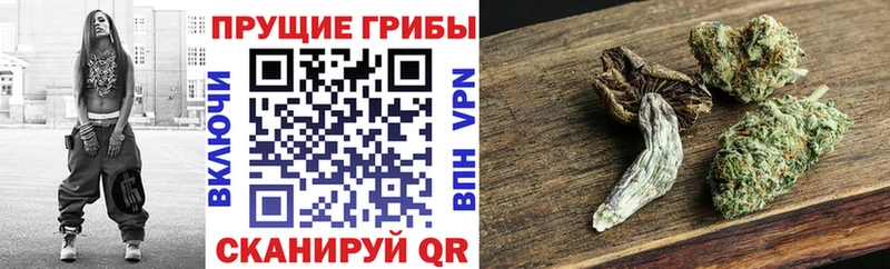Галлюциногенные грибы прущие грибы  нарко площадка официальный сайт  Новохопёрск 